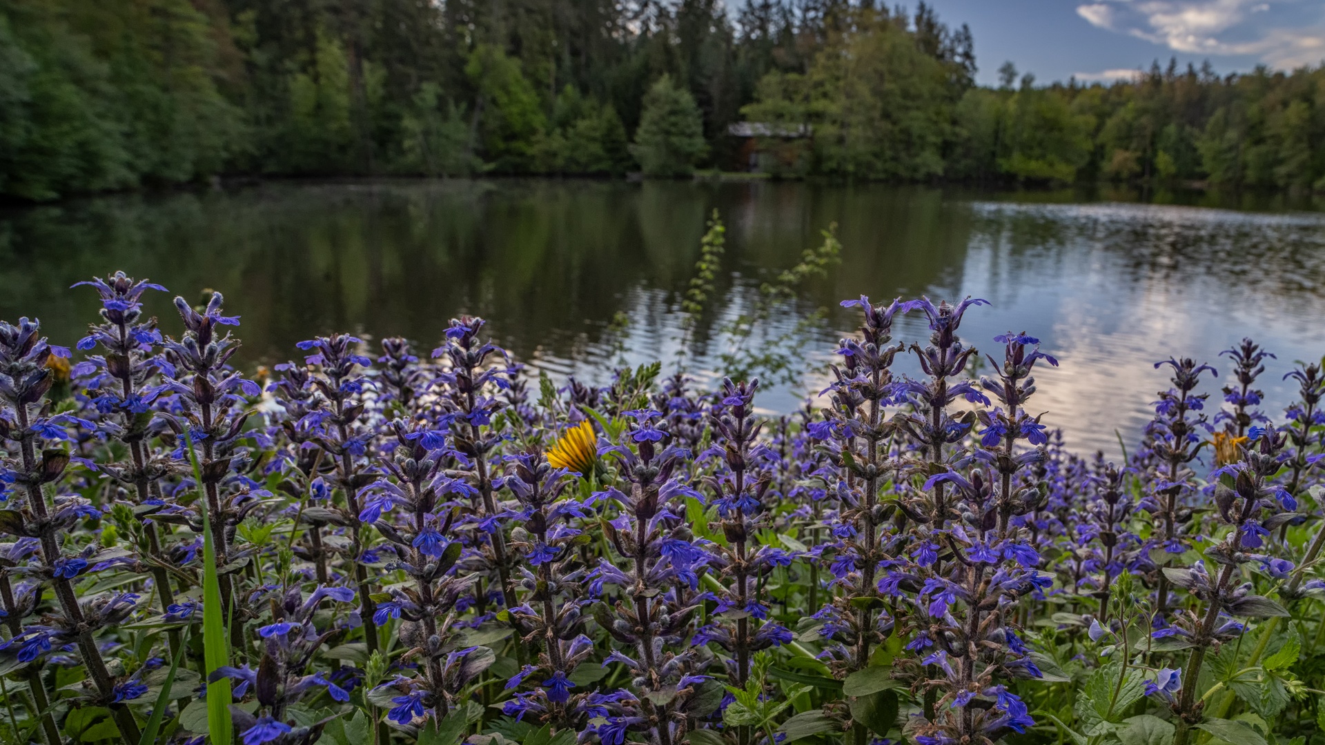 Adventní koncert v kapli svatého Vojtěcha