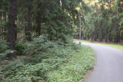 2007 : Úklid ulice U Vodárny (před úklidem)